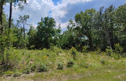 Lot 2 Walkerton Drive, Chipley, FL 32428