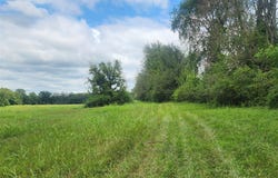 00 Turner Ford Road, Franklin, KY 42134