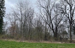 Southeast Avenue lot: 84, Tallmadge, OH 44278