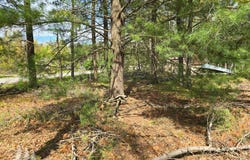 3229 Nesslewood Drive, Lewiston, MI 49756