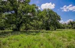 4525 Fm 182, Gatesville, TX 76528