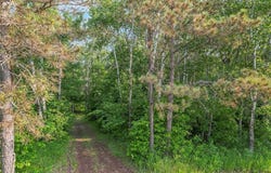 28229 Silent Drive, Dent, MN 56571