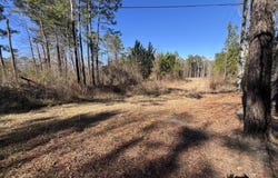 Mims Lane, Georgetown, SC 29440