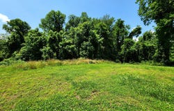 Harding Rd, Harriman, TN 37748