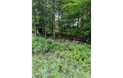 5 CANOE Trail, Pocono Lake, PA 18347