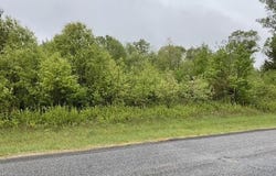 Lot 45 10th Street, Necedah, WI 54646