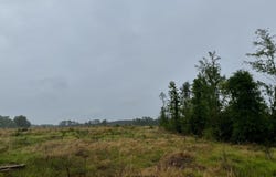 0 N Nc  11 Highway, Murfreesboro, NC 27855