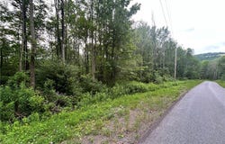 Sisson Hill Rd, Unadilla, NY 13849