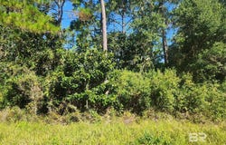 Creek Street, Elberta, AL 36530