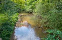 1216 Everett Springs, Calhoun, GA 30701