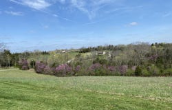 317 Short Road, Salvisa, KY 40372