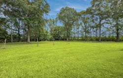 3201 Safer Dr, Slaughter, LA 70777