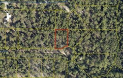 164 E Honeysuckle Street, Mossy Head, FL 32434