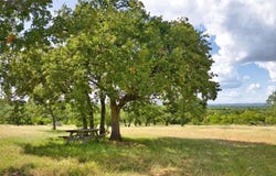 12119 W Highway 29, Llano, TX 78643