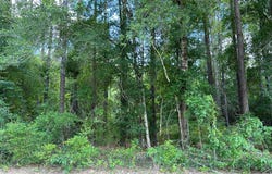 Crestview Dr lot: 38, Abbeville, GA 31001