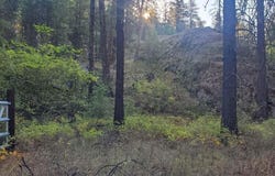 3733 XX SAND CREEK RD, KETTLE FALLS, WA 99141