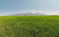 60261 Watson Road, St Ignatius, MT 59865