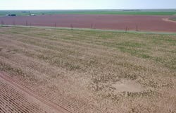 TX-83, Welch, TX 79377