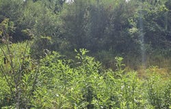 River Bottom Ln lot: 28, Galax, VA 24333