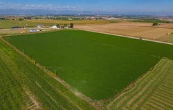 6012 Quiet View Ct, Loveland, CO 80537