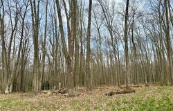 Stromeyers Road, Knox, PA 16232