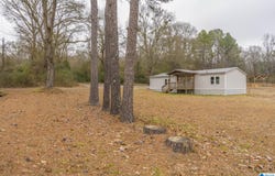 3875 BLUE SPRINGS ROAD, WILSONVILLE, AL 35186