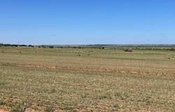 4643 County Rd 267, Snyder, TX 79549