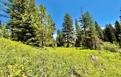 201 Discovery Drive, Donnelly, ID 83615