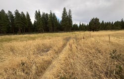 24703 5th Street, Sprague River, OR 97639