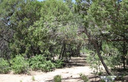 7 BLACKBIRD Road, Tijeras, NM 87059