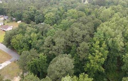 Lakeside Court, Dillon, SC 29536
