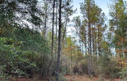 00 Hwy 26, Wiggins, MS 39577