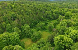Loughran Lane, Highland, NY 12528