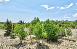 275 VULTURE LANE, Como, CO 80432