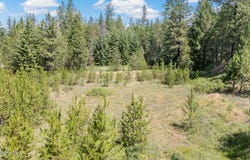 Tbd Homestead Rd, Athol, ID 83801