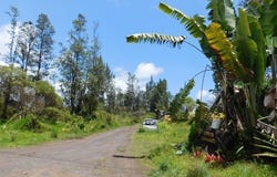 16-2087 MOHO RD, Kurtistown, HI 96760
