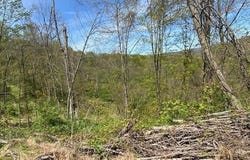 Lot 6 POLECAT HOLLOW ROAD, HOPEWELL, PA 16650