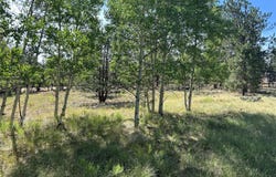 519 Hayhook Way, Hartsel, CO 80449