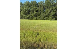 0 Custer Road, Sardinia, OH 45171