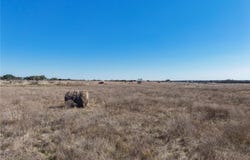 2999 SH 138, Florence, TX 76527