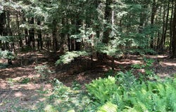 V8-J  759 North Main Rd, Otis, MA 01253