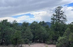Lot 56 Upper Pinabete, Questa, NM 87556