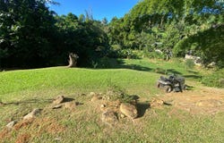 Carr. 108,Camino Adelina BO. RÍO CAÑAS, MAYAGUEZ, 00680
