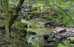 3 HARDSCRABBLE ROAD, LINDEN, VA 22642