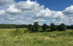 550 Clay County Road, Piggott, AR 72454