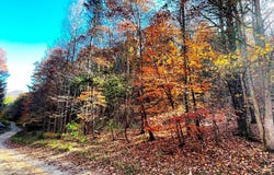 Lot 13 Griffith Knob Lane, Wytheville, VA 24382