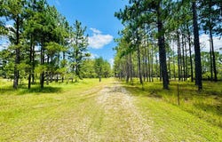 1010 Clough Blvd., Douglas, GA 31533