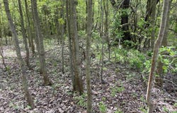 0 miller, Florence, NY 13316