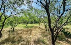 3105 Morris Sheppard Drive, Brownwood, TX 76801