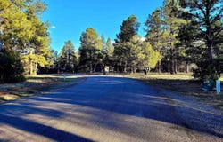 225 Badger Trail, Ridgway, CO 81432